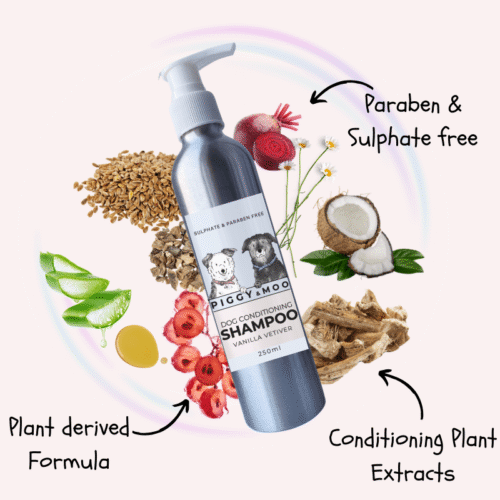 Conditioning Shampoo 250ml - Image 2