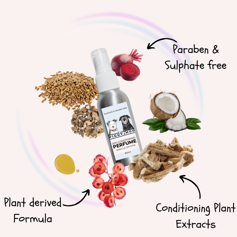 6 Conditioning Perfume - Vanilla Vetiver 80ml