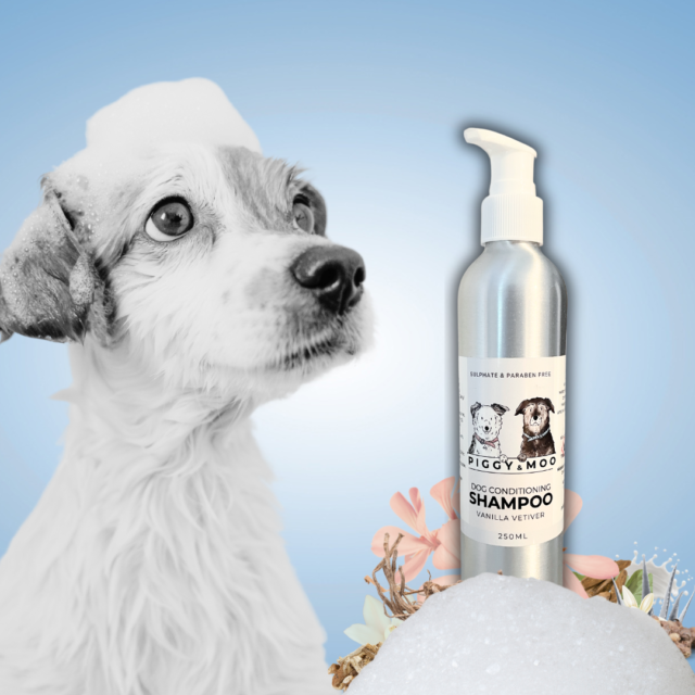 Conditioning Dog Shampoo - Vanilla Vetiver