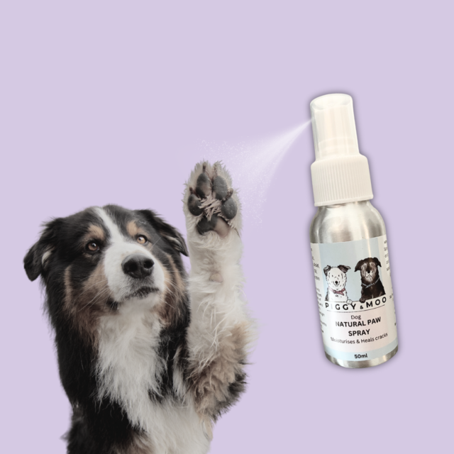 Paw Moisturising Spray 50ml