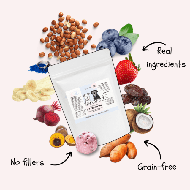 Mix at Home Blueberry & Banana Plant based Dog Ice-cream. Just add Water & Freeze