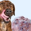 8 Strawberry Dog Ice Cream Mix | Just Add Water! BEST BEFORE 05/25