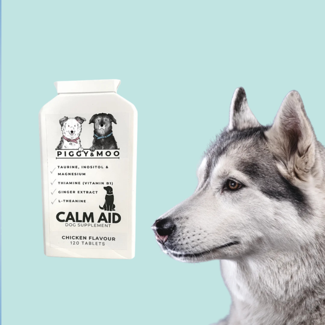 Dog Calm Aid (120 Chicken Flavour Tablets)