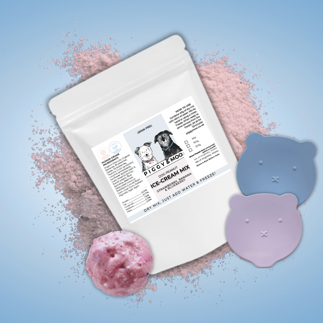CALMING BISCUIT MIX (5) Strawberry Dog Ice Cream Mix | Just Add Water! BEST BEFORE 05/25