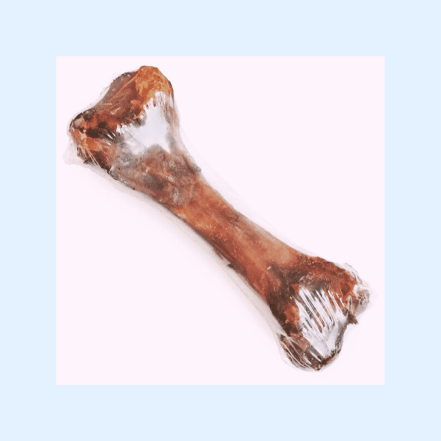 JR Femur Bone