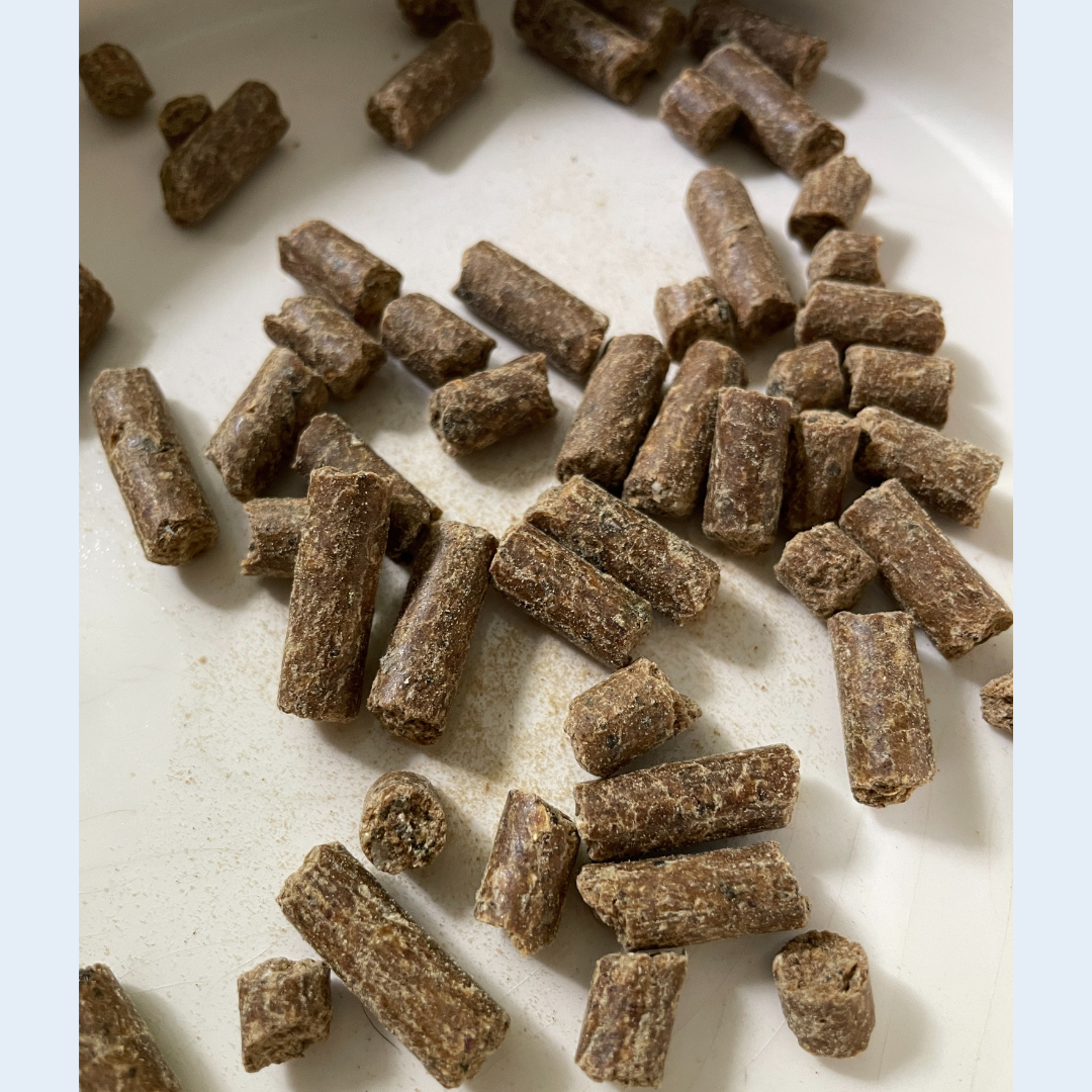 & (6) Chicken Cold Pressed Dog Food
