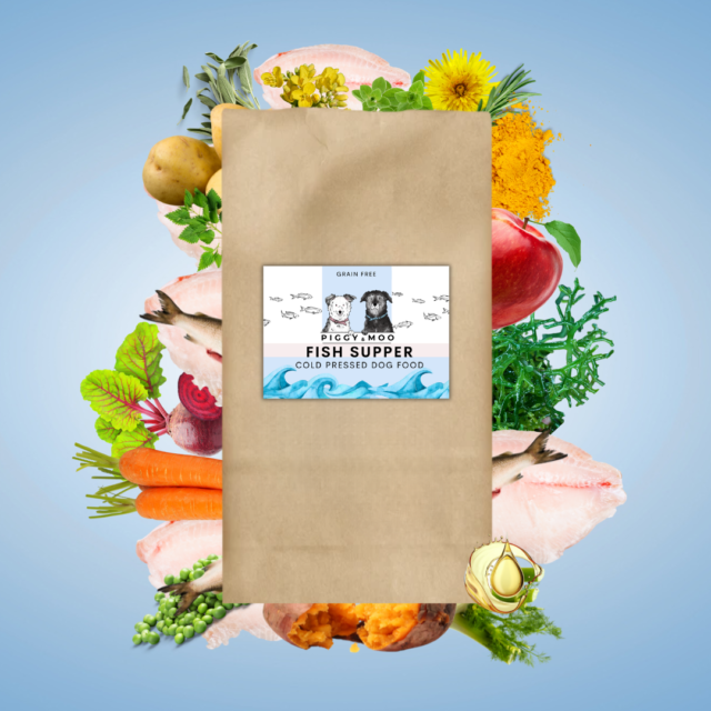 Fish Cold Pressed Dog Food - BEST BEFORE 03/03