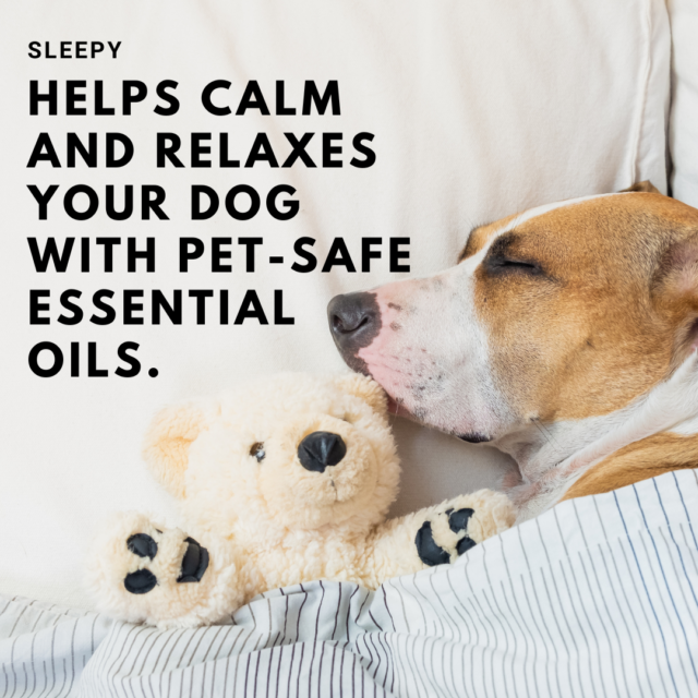 Sleepy, Dog safe Calming Candle 120g