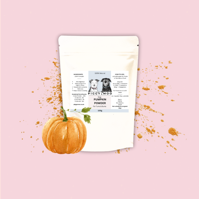 Natural Pumpkin Powder 100g