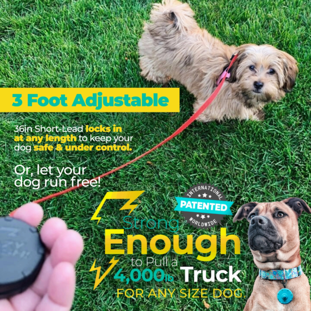 Lazy Leash - Mini Wearable Retractable - Two Pack