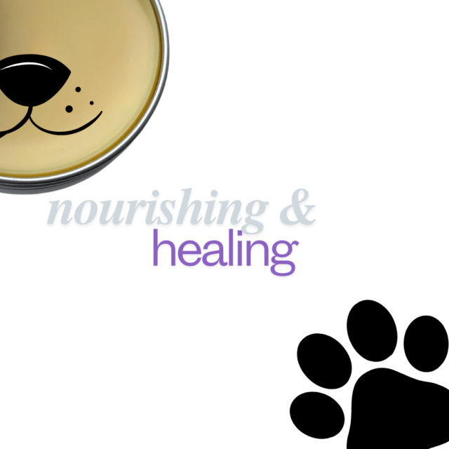 Natural Dog Paw Balm 30ml