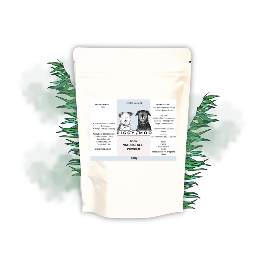 Kelp Powder 100g Kelp Powder 100g