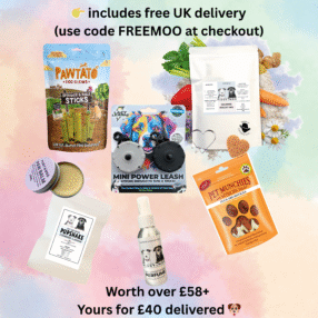 Piggy & Moo Bundle – Limited Edition RRP £58+